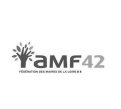 client-amf42.jpg